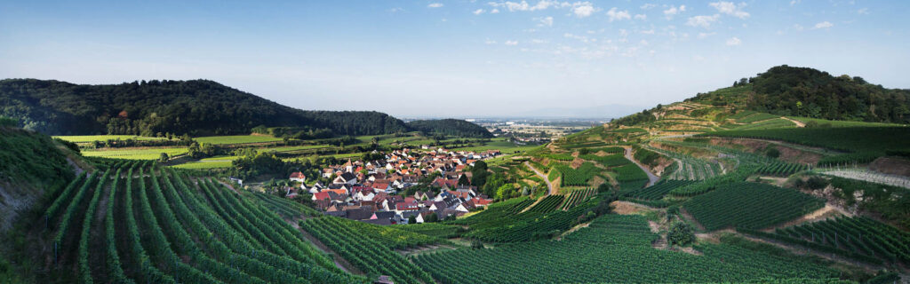 wine-golf-country-weinkurztrip-wein-und-kulturreise-markgräflerland-elsass-header