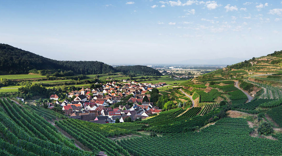 Wein- und Kulturreise Markgräflerland und Elsass